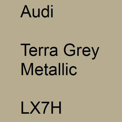 Audi, Terra Grey Metallic, LX7H.